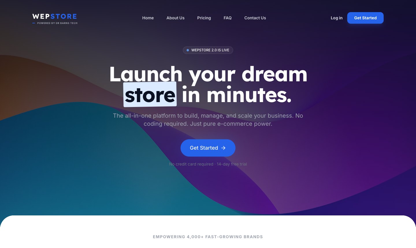 WepStore SaaS website
